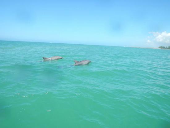 Suncoast Adventure Tours and Charters