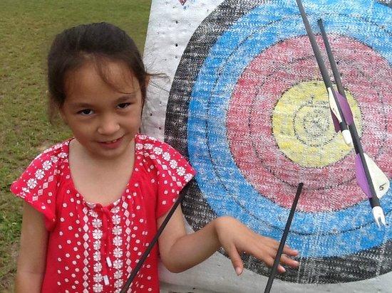 Joseph Steed's Archery