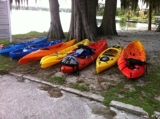 Peace of Mind Kayak Tours