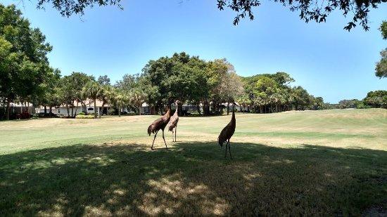 Calusa Lakes Golf Club