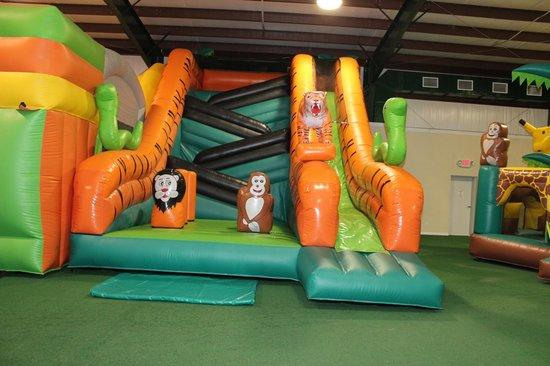 Jungle Zone