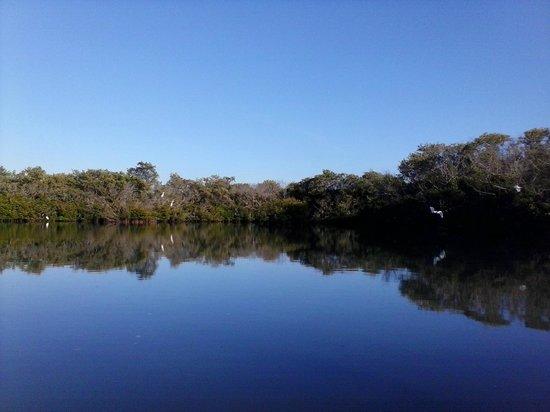 Kayak Nature Adventures