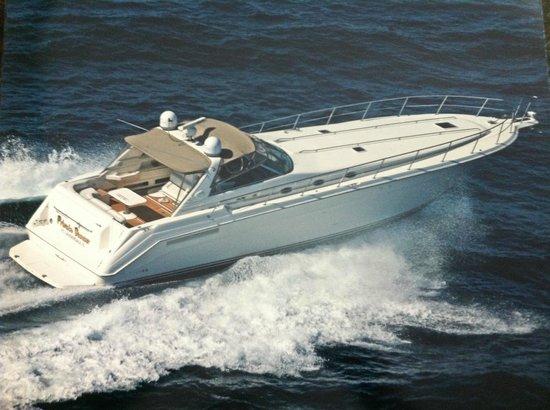Private Dancer Yacht Charters