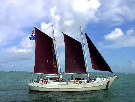 Schooner Conch Pearl- Day Boat Tours