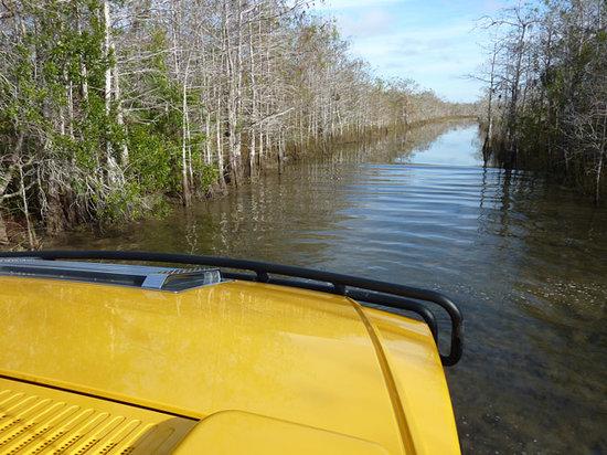 Everglades Hummer Adventures
