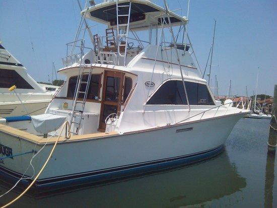 Never Enough Charters