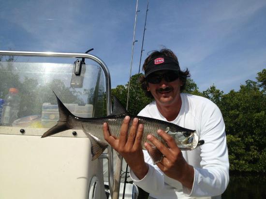 Bear Charters