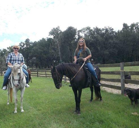 Young's Paso Fino Ranch