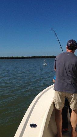 Fins N Grins Charter Fishing