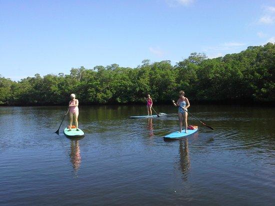 Suncoast Paddle & Fitness