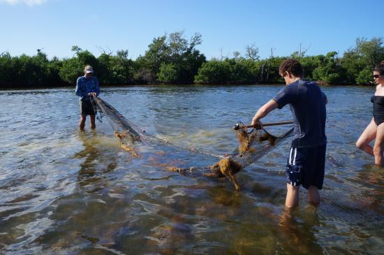 Sanibel Sea School Day Program