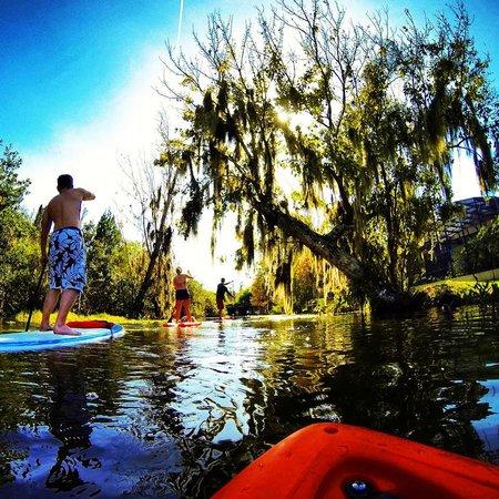 Hau Hele Wai Paddleboarding