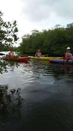Riverfront Kayaks Paradise Tours