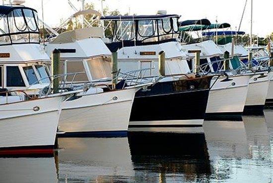 Jung Charters & Yacht Sales