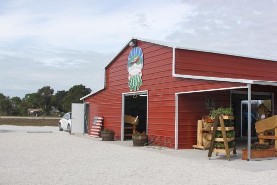The Farm