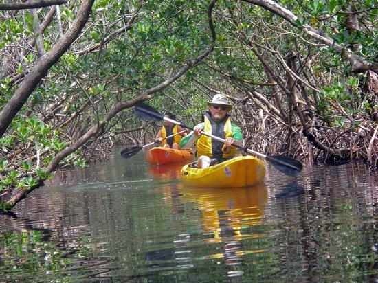 Phoenix Rising Kayak Tours