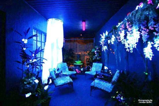 Euphoria Emporium