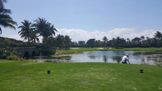 Ocean Palm Golf Club