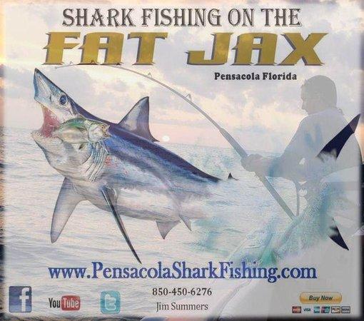 Pensacola Shark Fishing Day Tours