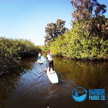 Harbor Paddle Company