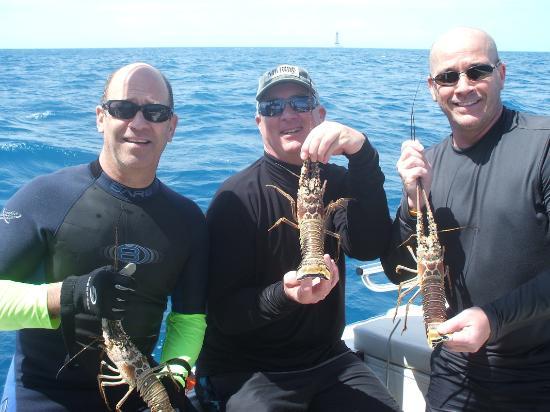 Hogfish Boat Rentals