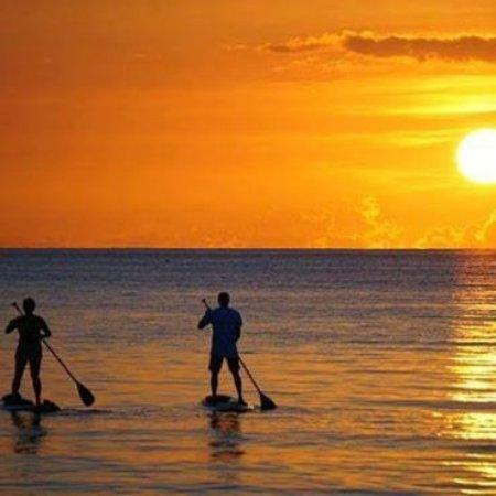 Gold Coast Aquatic Adventures