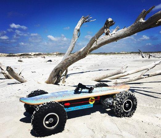 Amelia Island Board Rentals