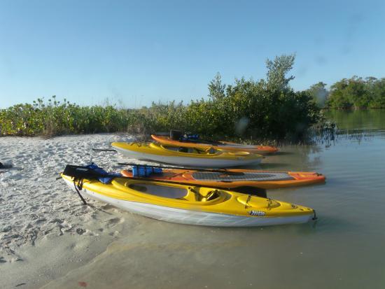 Eco Paddlesportz