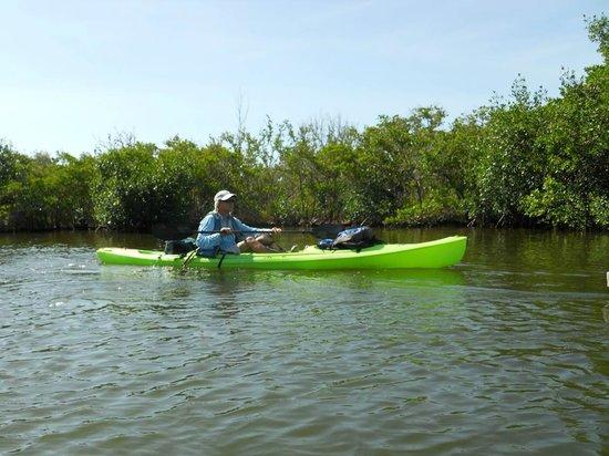 Space Coast Kayaking
