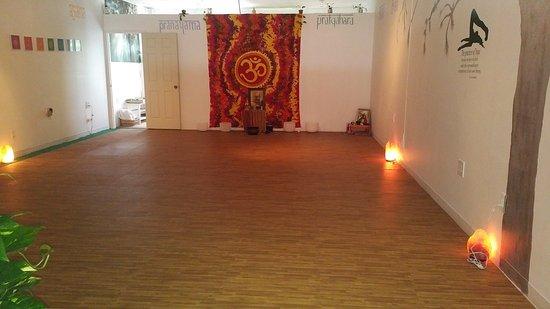 Synergy Yoga Center