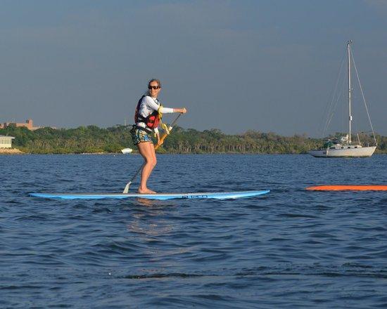 Paddleboard Titusville