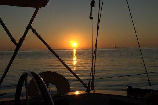 Sunny Sail Charters