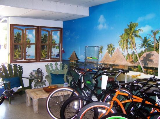 Freedom 4 Electric Bike Company