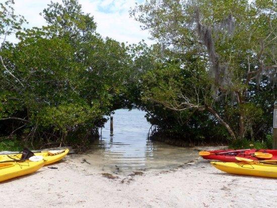 Apollo Beach Watersports