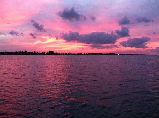 Held's Indian River Island Adventures