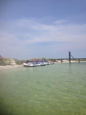 Jet Ski Dolphin Tours