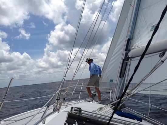 Charlotte Harbor Sailing - Day Tours