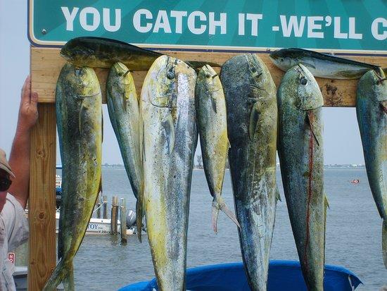 Skipper Sportfishing Charters