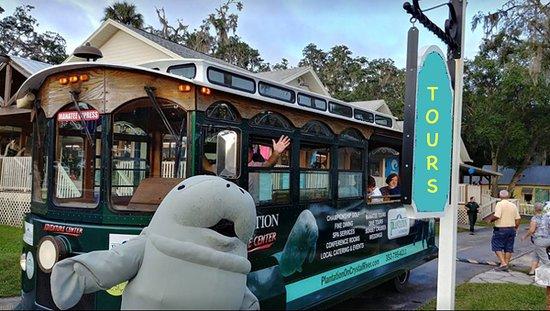 Manatee Express Tours On Shore