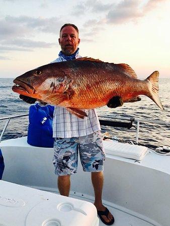 Bluewater Offshore Charters