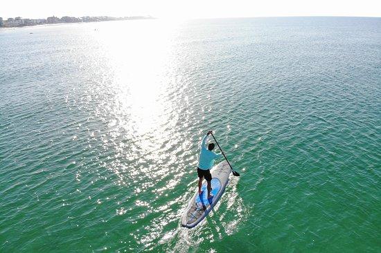 Bikini Beach Rentals
