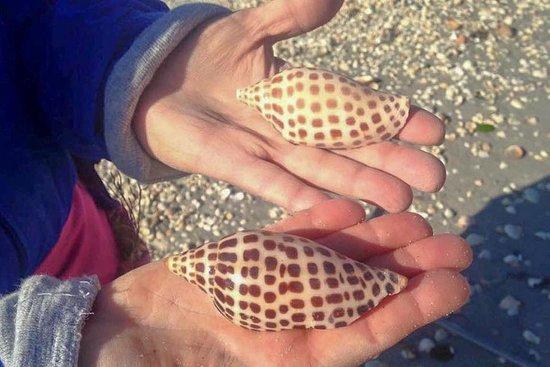 Naples & Marco Island Boat Tours
