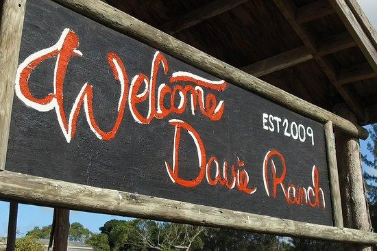 Davie Ranch