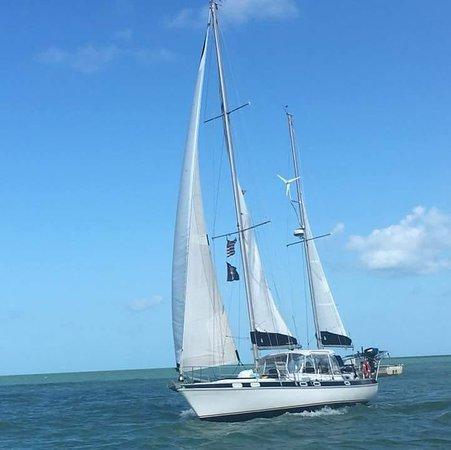 Trading Latitudes Sailing Excursions