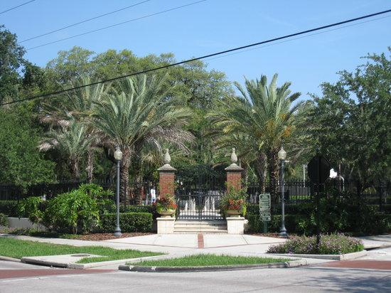 South Tampa