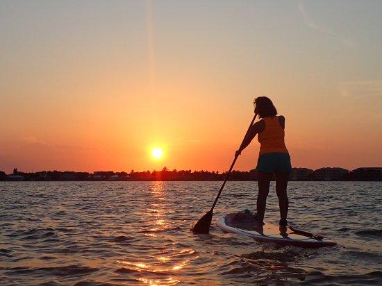 Yin Yang Sup LLC