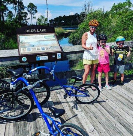 Big Fish Bike Rentals
