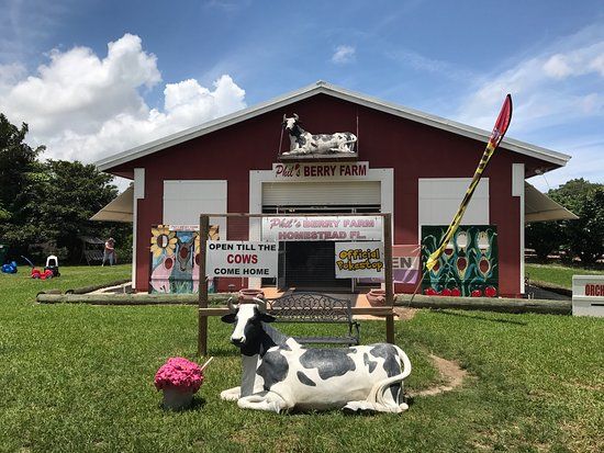 Phil's Berry Farms