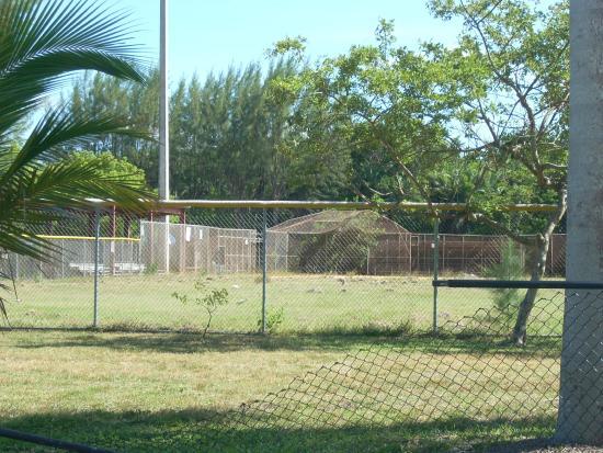 Chapman Field Park
