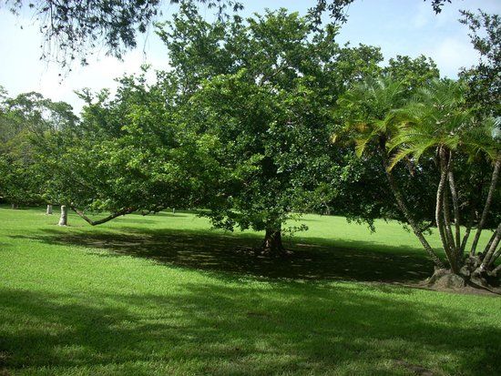 Coral Pine Park